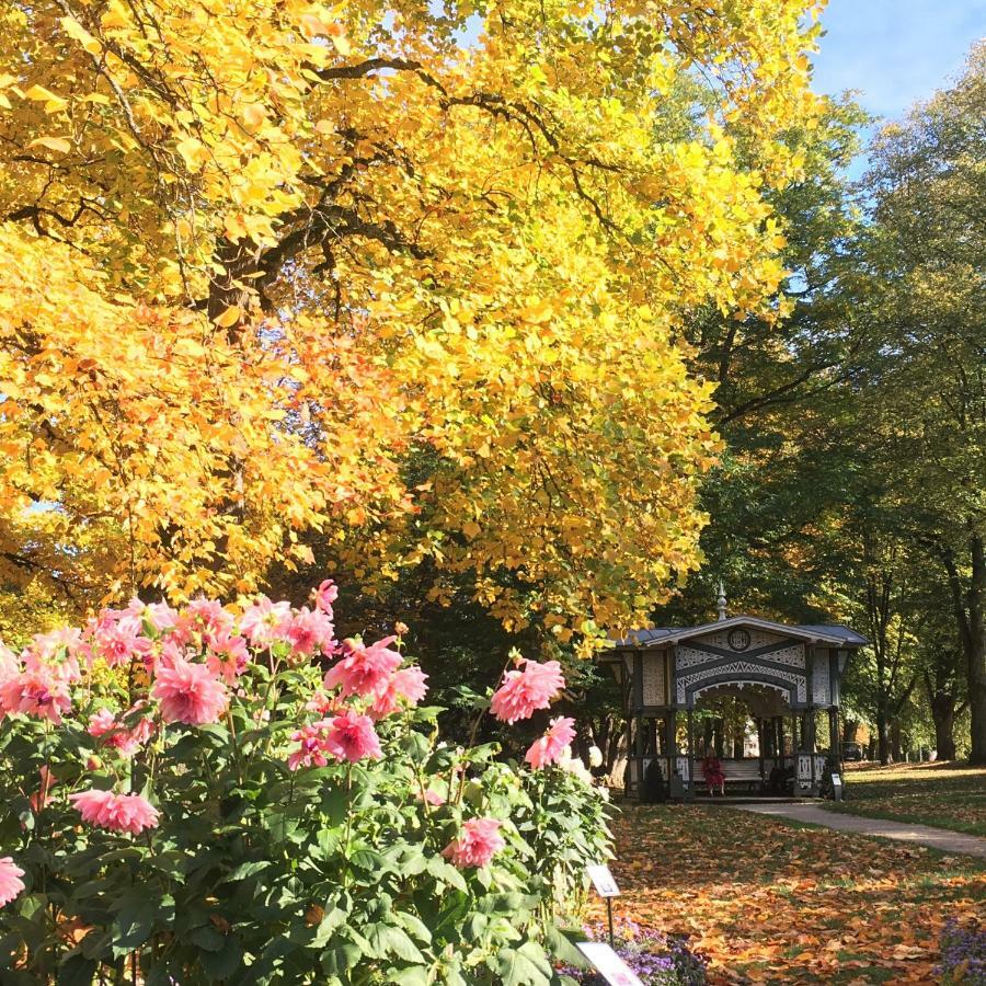 Allee Apartment Baden-Baden Bagian luar foto